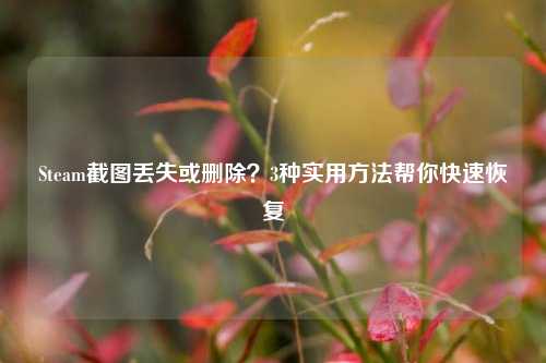 Steam截图丢失或删除？3种实用方法帮你快速恢复