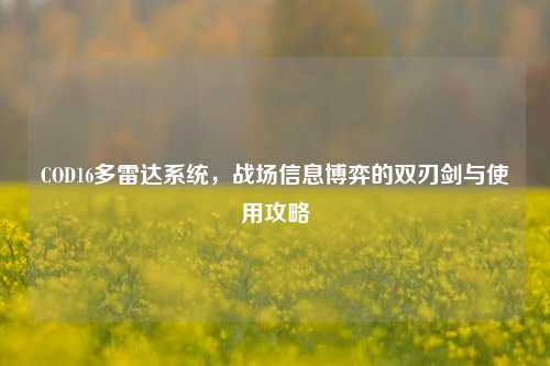 COD16多雷达系统,战场信息博弈的双刃剑与使用攻略