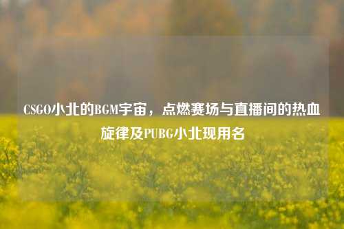 CSGO小北的BGM宇宙，点燃赛场与直播间的热血旋律及PUBG小北现用名
