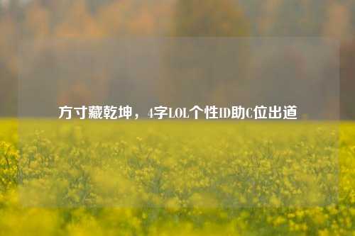方寸藏乾坤，4字LOL个性ID助C位出道