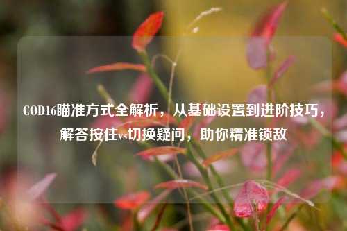 COD16瞄准方式全解析，从基础设置到进阶技巧，解答按住vs切换疑问，助你精准锁敌