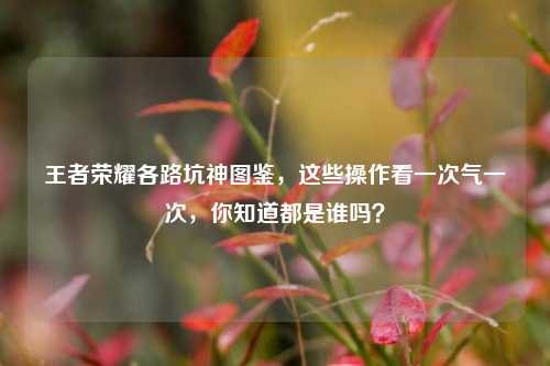 王者荣耀各路坑神图鉴,这些操作看一次气一次,你知道都是谁吗?