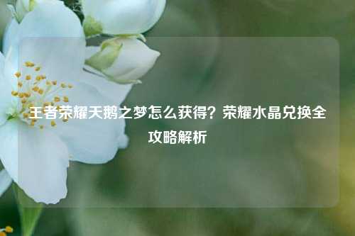 王者荣耀天鹅之梦怎么获得？荣耀水晶兑换全攻略解析