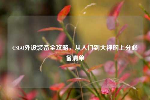 CSGO外设装备全攻略，从入门到大神的上分必备清单