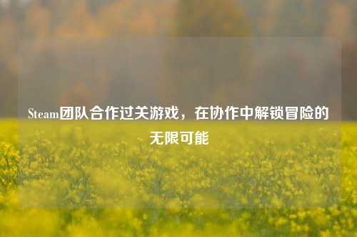 Steam团队合作过关游戏,在协作中解锁冒险的无限可能