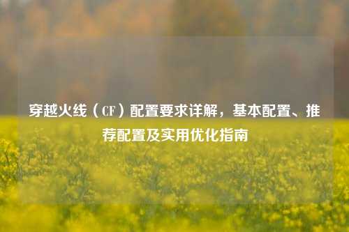 穿越火线(CF)配置要求详解,基本配置、推荐配置及实用优化指南
