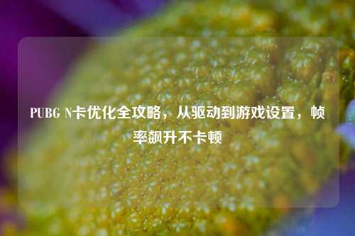 PUBG N卡优化全攻略，从驱动到游戏设置，帧率飙升不卡顿