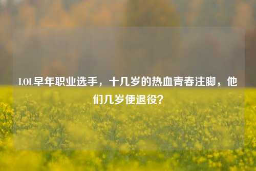 LOL早年职业选手，十几岁的热血青春注脚，他们几岁便退役？