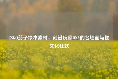 CSGO茄子绿木素材,刻进玩家DNA的名场面与梗文化狂欢