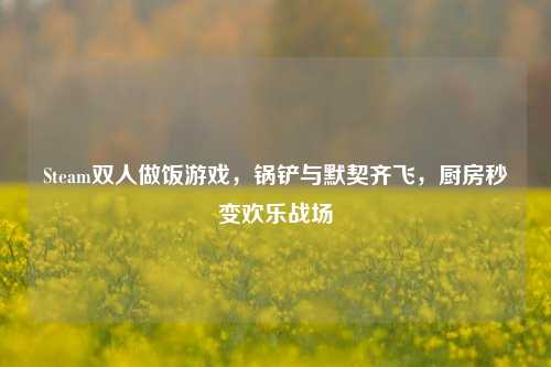 Steam双人做饭游戏，锅铲与默契齐飞，厨房秒变欢乐战场
