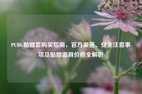 PUBG骷髅套购买指南，官方渠道、安全注意事项及骷髅面具价格全解析