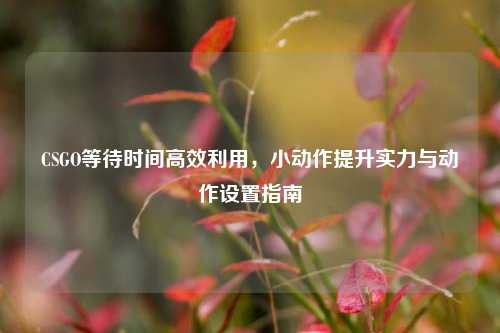 CSGO等待时间高效利用，小动作提升实力与动作设置指南