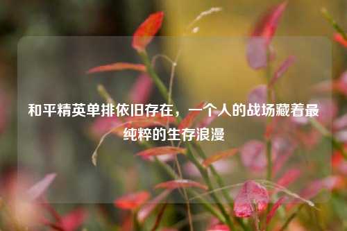 和平精英单排依旧存在，一个人的战场藏着最纯粹的生存浪漫