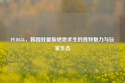 PUBGlk,韩国轻量版绝地求生的独特魅力与玩家生态