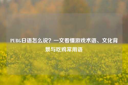PUBG日语怎么说？一文看懂游戏术语、文化背景与吃鸡常用语