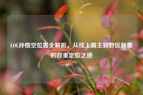 LOL孙悟空位置全解析，从线上霸主到野区新贵的双重定位之道