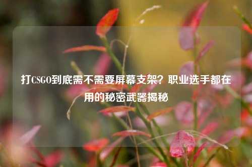 打CSGO到底需不需要屏幕支架?职业选手都在用的秘密武器揭秘