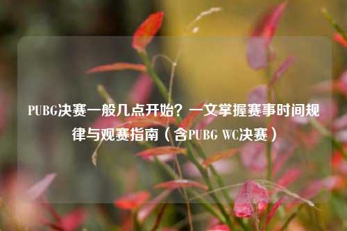 PUBG决赛一般几点开始？一文掌握赛事时间规律与观赛指南（含PUBG WC决赛）