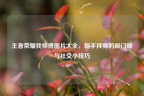 王者荣耀找师傅图片大全,新手拜师的敲门砖与社交小技巧