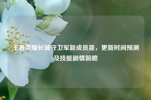 王者荣耀长城守卫军新成员晟，更新时间预测及技能剧情前瞻