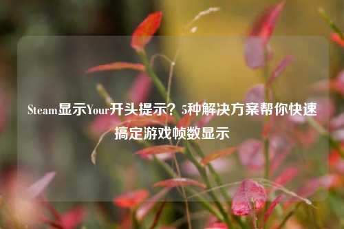 Steam显示Your开头提示？5种解决方案帮你快速搞定游戏帧数显示