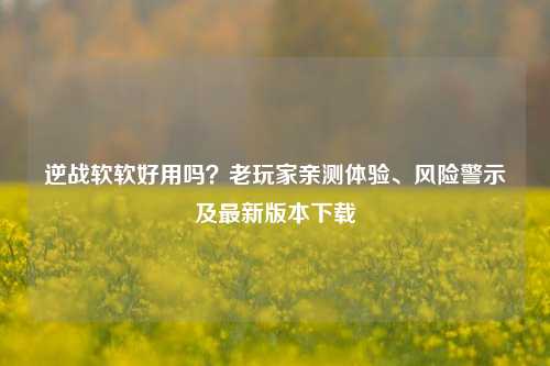 逆战软软好用吗？老玩家亲测体验、风险警示及最新版本下载
