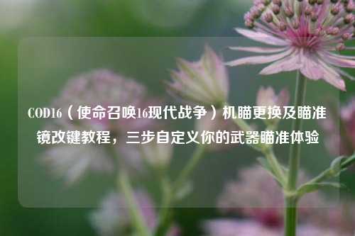 COD16（使命召唤16现代战争）机瞄更换及瞄准镜改键教程，三步自定义你的武器瞄准体验