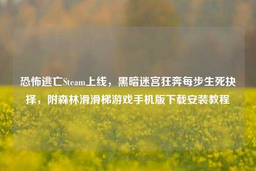 恐怖逃亡Steam上线，黑暗迷宫狂奔每步生死抉择，附森林滑滑梯游戏手机版下载安装教程