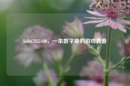 lol867855480，一串数字里的游戏青春