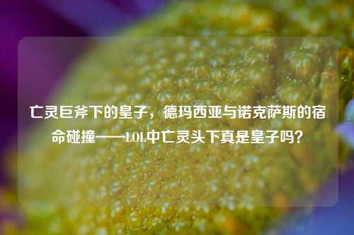 亡灵巨斧下的皇子,德玛西亚与诺克萨斯的宿命碰撞——LOL中亡灵头下真是皇子吗?