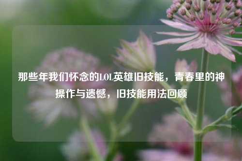 那些年我们怀念的LOL英雄旧技能，青春里的神操作与遗憾，旧技能用法回顾