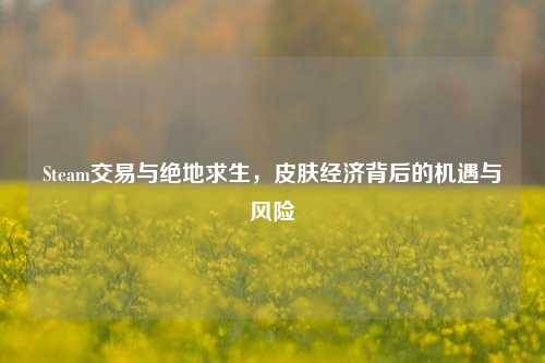 Steam交易与绝地求生,皮肤经济背后的机遇与风险