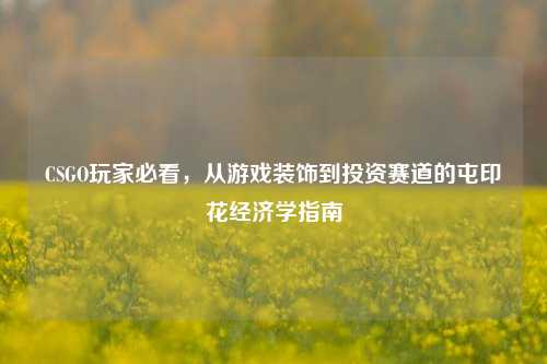 CSGO玩家必看，从游戏装饰到投资赛道的屯印花经济学指南