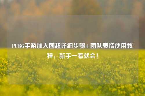 PUBG手游加入团超详细步骤+团队表情使用教程，新手一看就会！