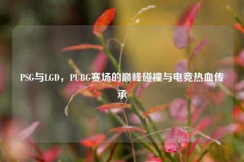 PSG与LGD,PUBG赛场的巅峰碰撞与电竞热血传承