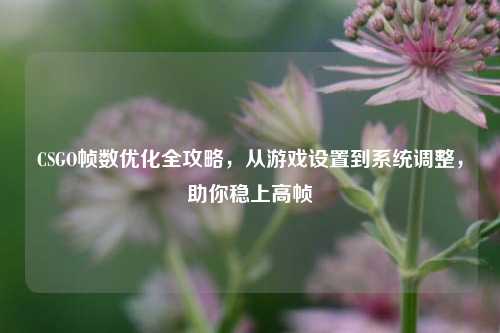 CSGO帧数优化全攻略,从游戏设置到系统调整,助你稳上高帧