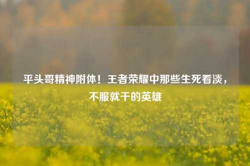 平头哥精神附体！王者荣耀中那些生死看淡，不服就干的英雄