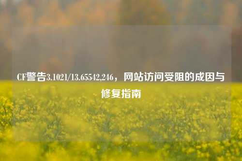 CF警告3.1021/13.65542,246，网站访问受阻的成因与修复指南