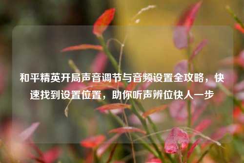 和平精英开局声音调节与音频设置全攻略,快速找到设置位置,助你听声辨位快人一步