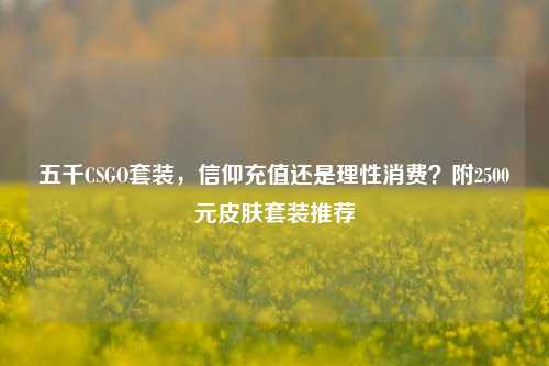 五千CSGO套装,信仰充值还是理性消费?附2500元皮肤套装推荐