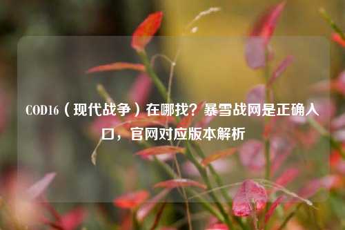 COD16（现代战争）在哪找？暴雪战网是正确入口，官网对应版本解析