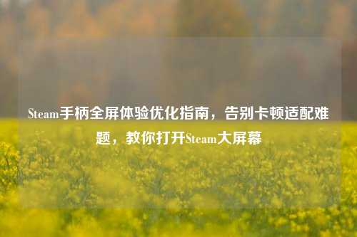 Steam手柄全屏体验优化指南,告别卡顿适配难题,教你打开Steam大屏幕