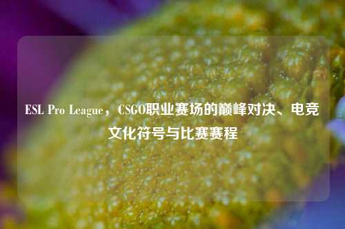 ESL Pro League,CSGO职业赛场的巅峰对决、电竞文化符号与比赛赛程
