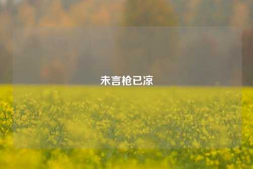未言枪已凉
