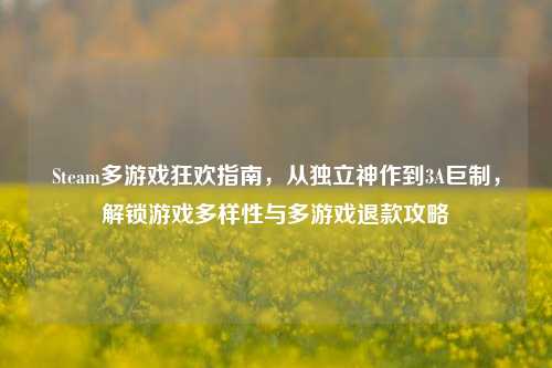 Steam多游戏狂欢指南，从独立神作到3A巨制，解锁游戏多样性与多游戏退款攻略