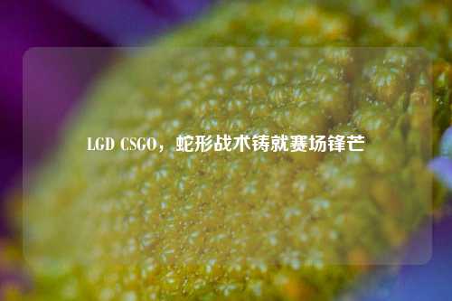 LGD CSGO，蛇形战术铸就赛场锋芒