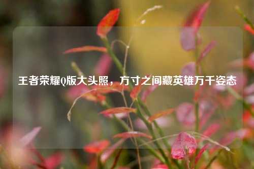 王者荣耀Q版大头照,方寸之间藏英雄万千姿态