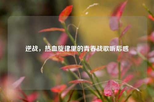 逆战,热血旋律里的青春战歌听后感