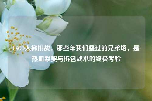 CSGO人梯挑战，那些年我们叠过的兄弟塔，是热血默契与拆包战术的终极考验