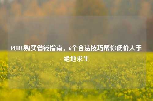 PUBG购买省钱指南，6个合法技巧帮你低价入手绝地求生